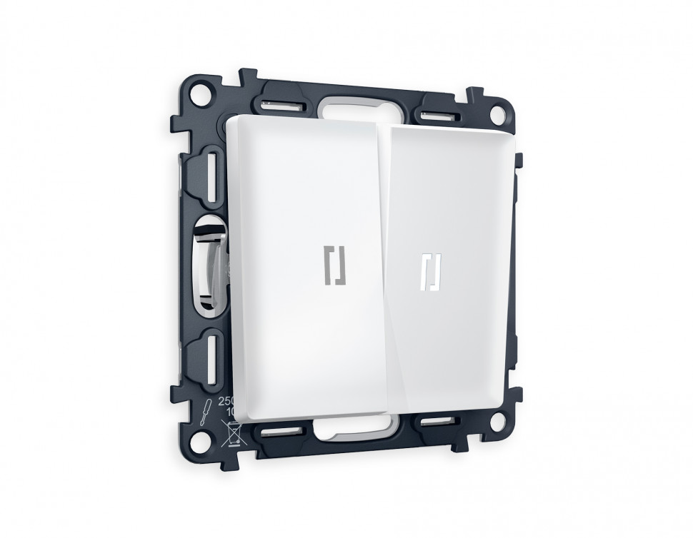 Комплект механизма 2-клавишного выключателя с подсветкой 5600K ALFA MA124015 Белый матовый QUANT