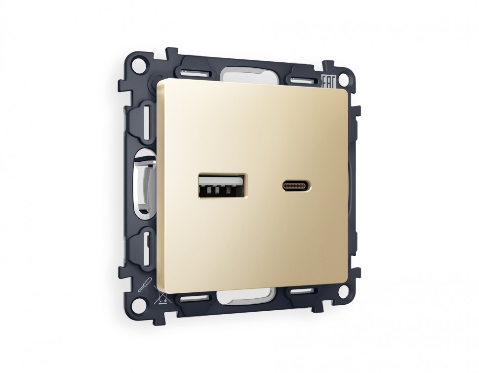 Комплект механизма розетки ALFA MA611010 Шампань 2USB A+C 20W быстрая зарядка QUANT