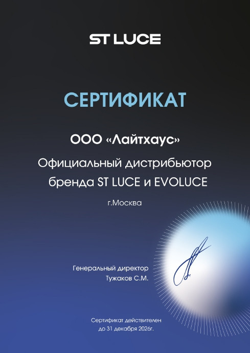 Потолочная люстра ST Luce Seline SL1637.302.16